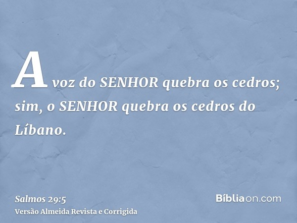 A voz do SENHOR quebra os cedros; sim, o SENHOR quebra os cedros do Líbano.