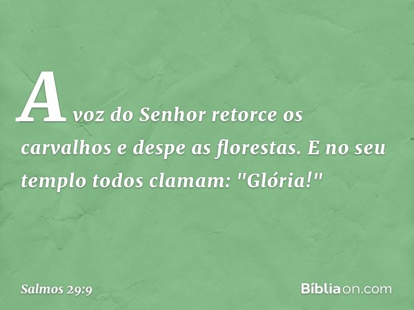 A voz do Senhor retorce os carvalhos
e despe as florestas.
E no seu templo todos clamam: "Glória!" -- Salmo 29:9