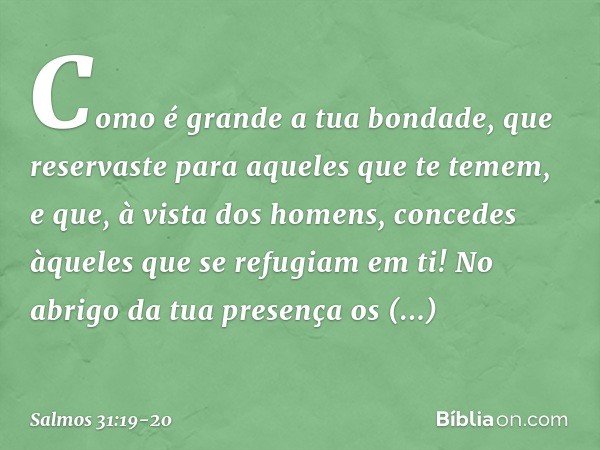 Como é grande a tua bondade,
que reservaste para aqueles que te temem,
e que, à vista dos homens,
concedes àqueles que se refugiam em ti! No abrigo da tua prese