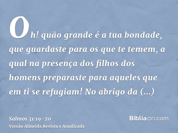 Oh! quão grande é a tua bondade, que guardaste para os que te temem, a qual na presença dos filhos dos homens preparaste para aqueles que em ti se refugiam!No a