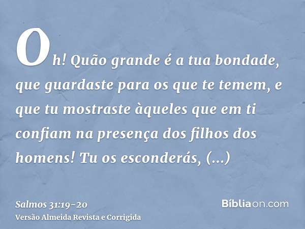 Oh! Quão grande é a tua bondade, que guardaste para os que te temem, e que tu mostraste àqueles que em ti confiam na presença dos filhos dos homens!Tu os escond