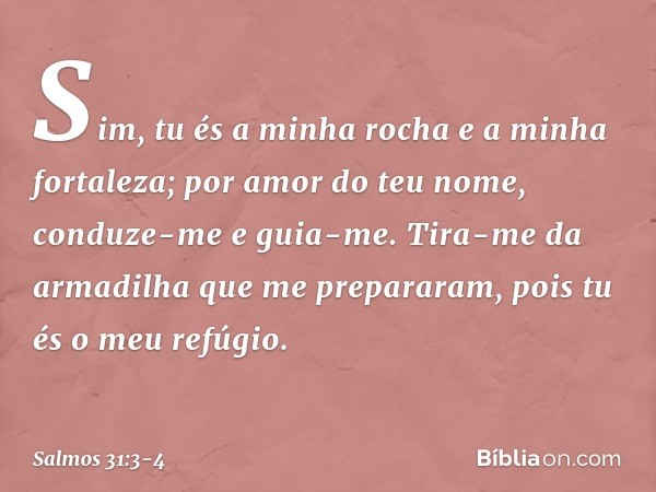 Sim, tu és a minha rocha e a minha fortaleza;
por amor do teu nome, conduze-me e guia-me. Tira-me da armadilha que me prepararam,
pois tu és o meu refúgio. -- S