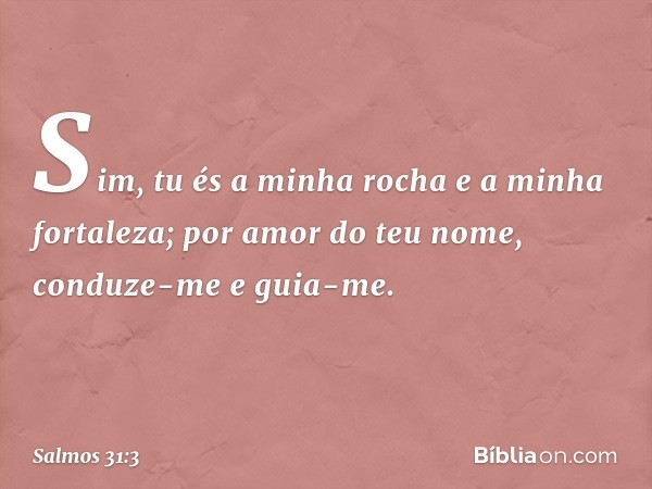 Sim, tu és a minha rocha e a minha fortaleza;
por amor do teu nome, conduze-me e guia-me. -- Salmo 31:3