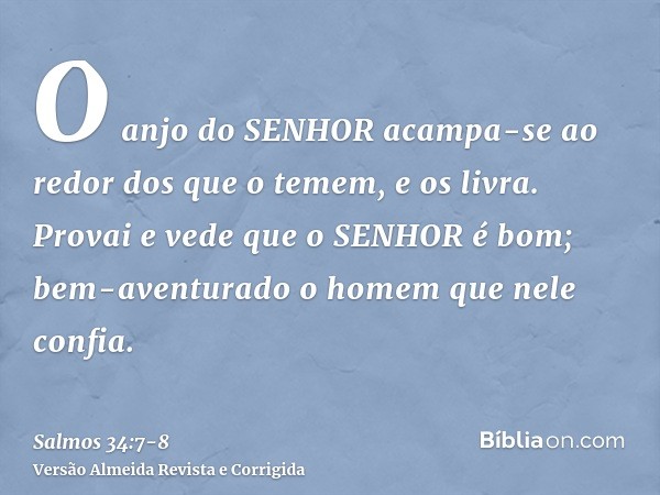 O anjo do SENHOR acampa-se ao redor dos que o temem, e os livra.Provai e vede que o SENHOR é bom; bem-aventurado o homem que nele confia.