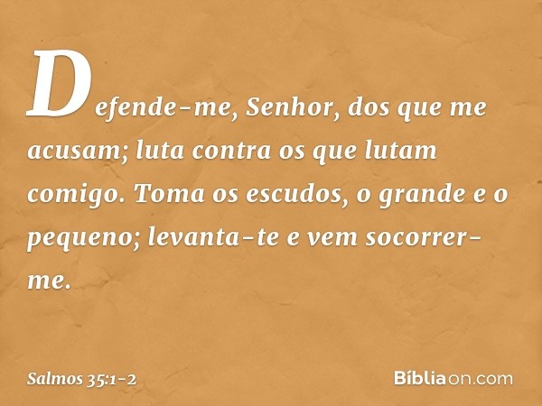 Defende-me, Senhor, dos que me acusam;
luta contra os que lutam comigo. Toma os escudos, o grande e o pequeno;
levanta-te e vem socorrer-me. -- Salmo 35:1-2