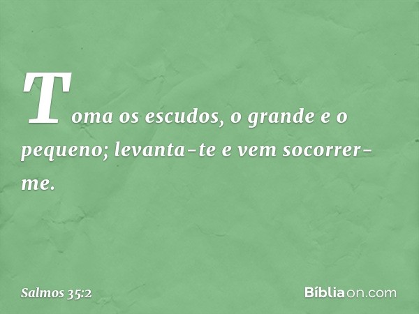 Toma os escudos, o grande e o pequeno;
levanta-te e vem socorrer-me. -- Salmo 35:2