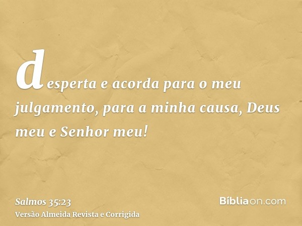 desperta e acorda para o meu julgamento, para a minha causa, Deus meu e Senhor meu!