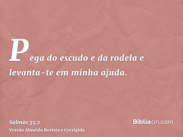 Pega do escudo e da rodela e levanta-te em minha ajuda.