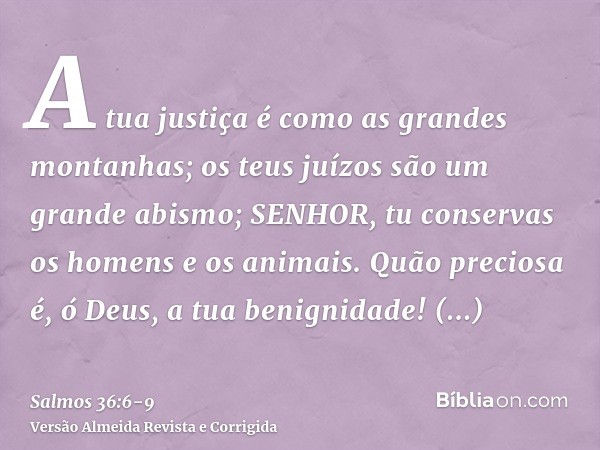 A tua justiça é como as grandes montanhas; os teus juízos são um grande abismo; SENHOR, tu conservas os homens e os animais.Quão preciosa é, ó Deus, a tua benig