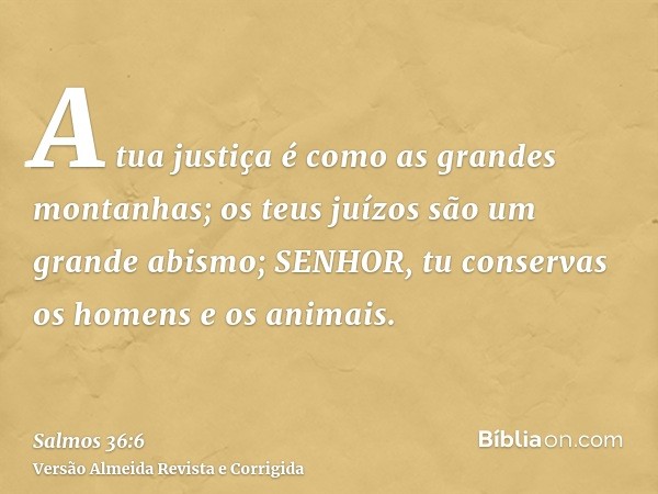 A tua justiça é como as grandes montanhas; os teus juízos são um grande abismo; SENHOR, tu conservas os homens e os animais.