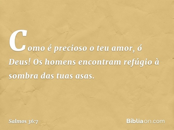 Como é precioso o teu amor, ó Deus!
Os homens encontram
refúgio à sombra das tuas asas. -- Salmo 36:7