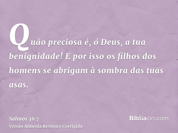 Quão preciosa é, ó Deus, a tua benignidade! E por isso os filhos dos homens se abrigam à sombra das tuas asas.