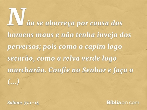 Não se aborreça por causa dos homens maus
e não tenha inveja dos perversos; pois como o capim logo secarão,
como a relva verde logo murcharão. Confie no Senhor 