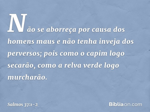 Não se aborreça por causa dos homens maus
e não tenha inveja dos perversos; pois como o capim logo secarão,
como a relva verde logo murcharão. -- Salmo 37:1-2