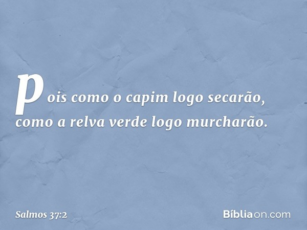 pois como o capim logo secarão,
como a relva verde logo murcharão. -- Salmo 37:2