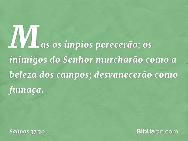 Mas os ímpios perecerão;
os inimigos do Senhor
murcharão como a beleza dos campos;
desvanecerão como fumaça. -- Salmo 37:20