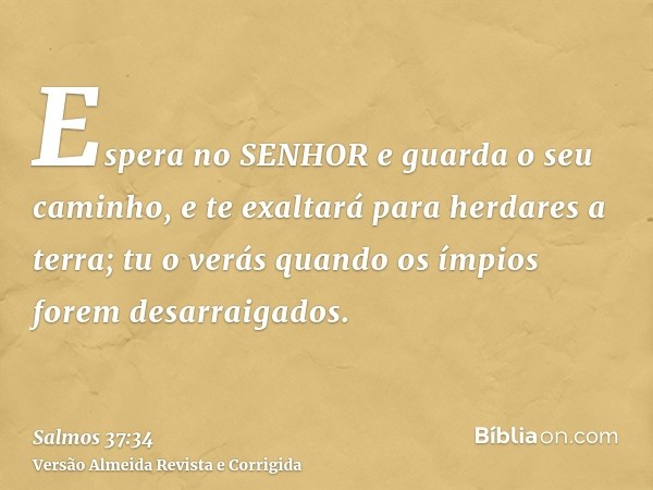 Espera no SENHOR e guarda o seu caminho, e te exaltará para herdares a terra; tu o verás quando os ímpios forem desarraigados.