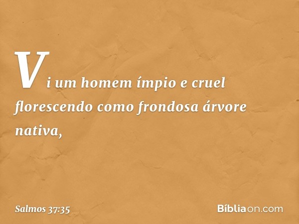 Vi um homem ímpio e cruel
florescendo como frondosa árvore nativa, -- Salmo 37:35