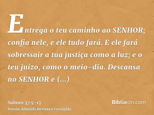 Entrega o teu caminho ao SENHOR; confia nele, e ele tudo fará.E ele fará sobressair a tua justiça como a luz; e o teu juízo, como o meio-dia.Descansa no SENHOR 