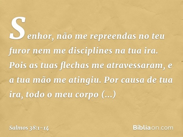 Senhor, não me repreendas no teu furor
nem me disciplines na tua ira. Pois as tuas flechas me atravessaram,
e a tua mão me atingiu. Por causa de tua ira,
todo o