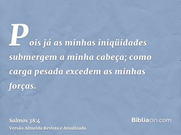 Pois já as minhas iniqüidades submergem a minha cabeça; como carga pesada excedem as minhas forças.