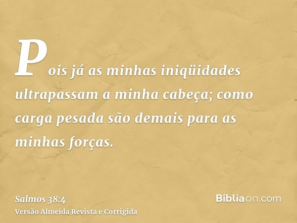 Pois já as minhas iniqüidades ultrapassam a minha cabeça; como carga pesada são demais para as minhas forças.