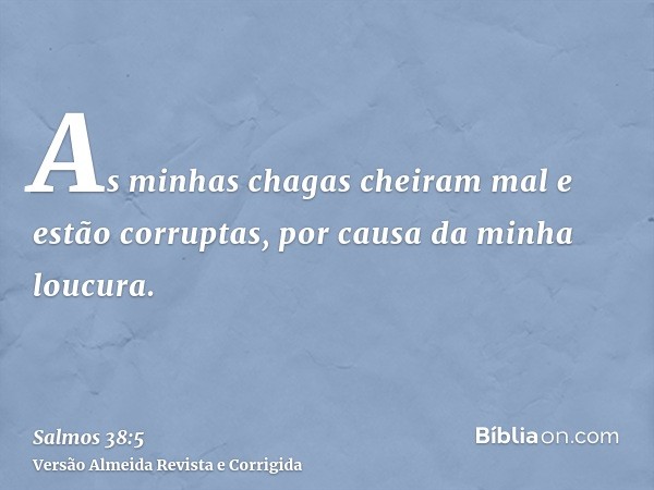As minhas chagas cheiram mal e estão corruptas, por causa da minha loucura.