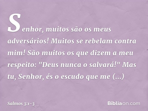 Senhor, muitos são os meus adversários!
Muitos se rebelam contra mim! São muitos os que dizem a meu respeito:
"Deus nunca o salvará!" Mas tu, Senhor,
és o escud