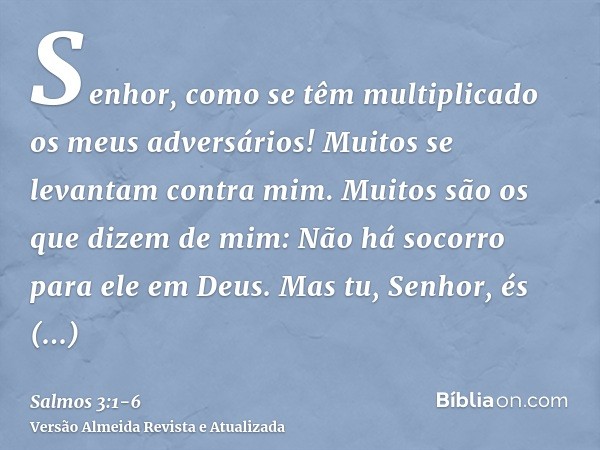 Senhor, como se têm multiplicado os meus adversários! Muitos se levantam contra mim.Muitos são os que dizem de mim: Não há socorro para ele em Deus.Mas tu, Senh