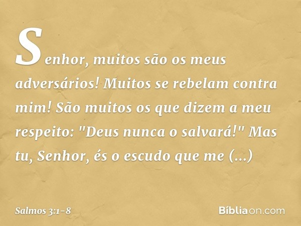 Senhor, muitos são os meus adversários!
Muitos se rebelam contra mim! São muitos os que dizem a meu respeito:
"Deus nunca o salvará!" Mas tu, Senhor,
és o escud