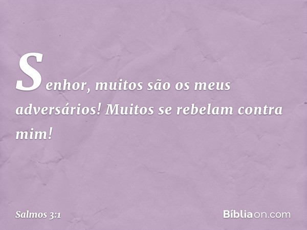 Senhor, muitos são os meus adversários!
Muitos se rebelam contra mim! -- Salmo 3:1