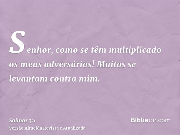 Senhor, como se têm multiplicado os meus adversários! Muitos se levantam contra mim.