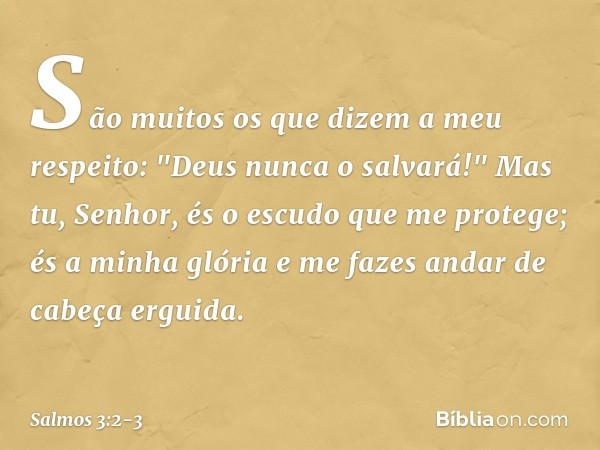 São muitos os que dizem a meu respeito:
"Deus nunca o salvará!" Mas tu, Senhor,
és o escudo que me protege;
és a minha glória
e me fazes andar de cabeça erguida