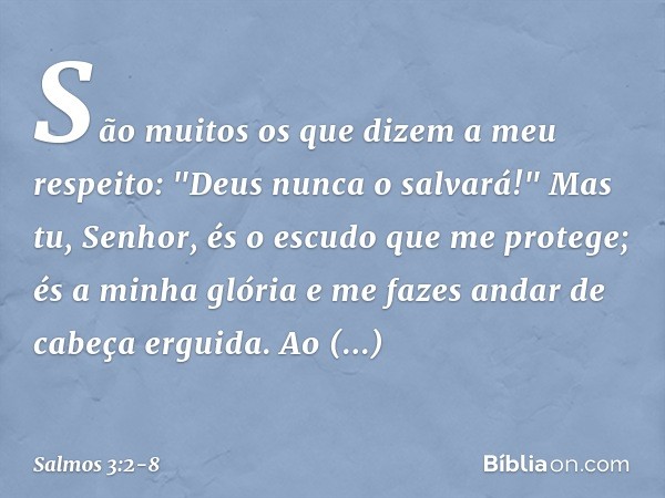 São muitos os que dizem a meu respeito:
"Deus nunca o salvará!" Mas tu, Senhor,
és o escudo que me protege;
és a minha glória
e me fazes andar de cabeça erguida