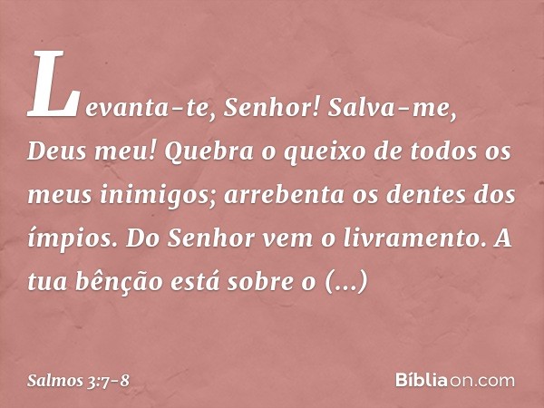 Levanta-te, Senhor!
Salva-me, Deus meu!
Quebra o queixo de todos os meus inimigos;
arrebenta os dentes dos ímpios. Do Senhor vem o livramento.
A tua bênção está