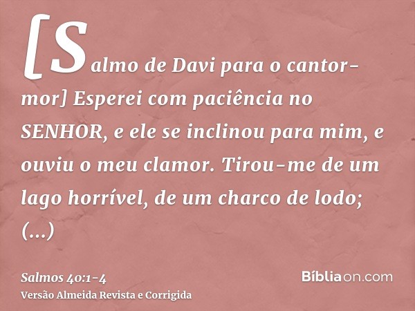 [Salmo de Davi para o cantor-mor] Esperei com paciência no SENHOR, e ele se inclinou para mim, e ouviu o meu clamor.Tirou-me de um lago horrível, de um charco d