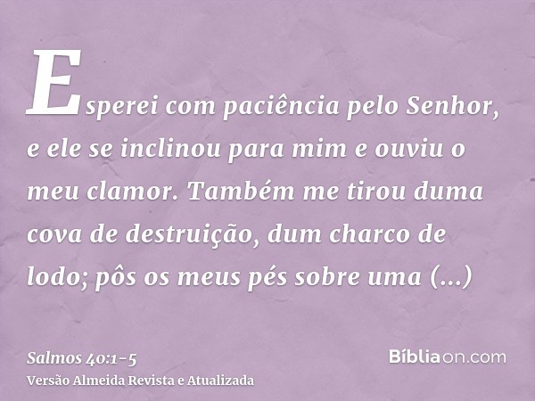 Esperei com paciência pelo Senhor, e ele se inclinou para mim e ouviu o meu clamor.Também me tirou duma cova de destruição, dum charco de lodo; pôs os meus pés 