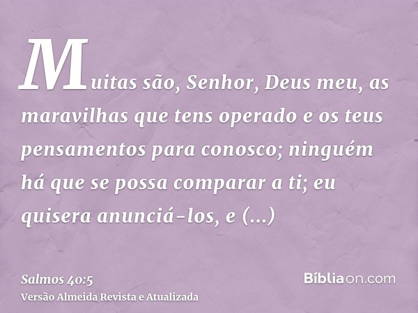 Muitas são, Senhor, Deus meu, as maravilhas que tens operado e os teus pensamentos para conosco; ninguém há que se possa comparar a ti; eu quisera anunciá-los, 