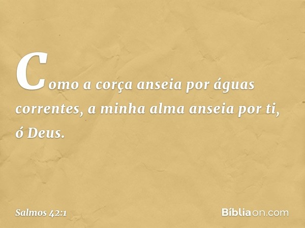 Como a corça anseia por águas correntes,
a minha alma anseia por ti, ó Deus. -- Salmo 42:1