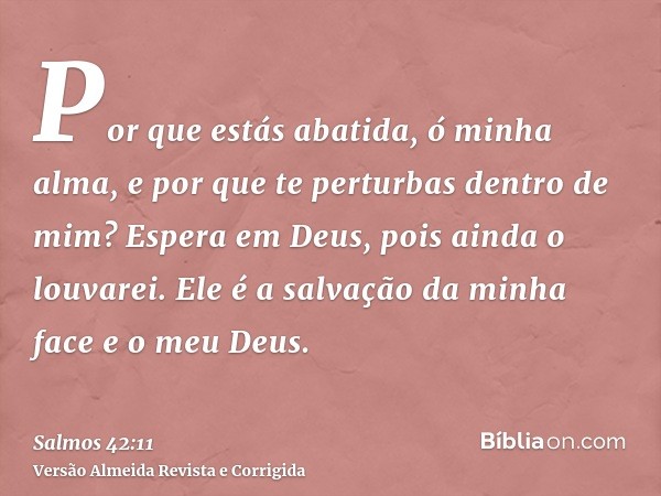 Por que estás abatida, ó minha alma, e por que te perturbas dentro de mim? Espera em Deus, pois ainda o louvarei. Ele é a salvação da minha face e o meu Deus.