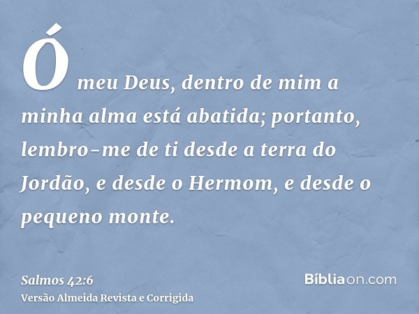 Ó meu Deus, dentro de mim a minha alma está abatida; portanto, lembro-me de ti desde a terra do Jordão, e desde o Hermom, e desde o pequeno monte.