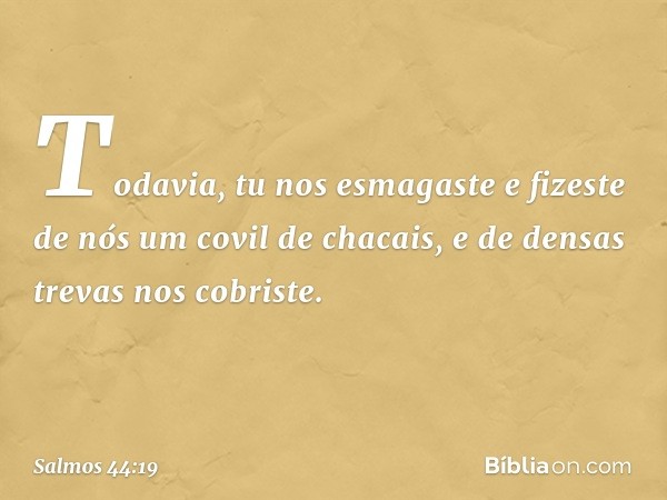 Todavia, tu nos esmagaste e fizeste de nós
um covil de chacais,
e de densas trevas nos cobriste. -- Salmo 44:19