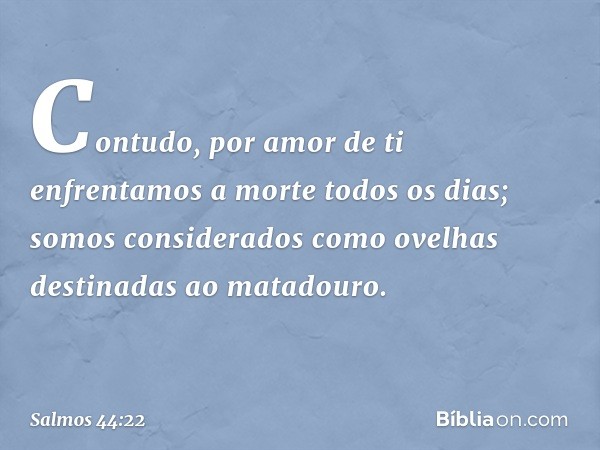 Contudo, por amor de ti
enfrentamos a morte todos os dias;
somos considerados como ovelhas
destinadas ao matadouro. -- Salmo 44:22