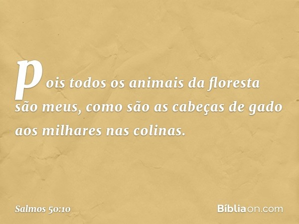 pois todos os animais da floresta são meus,
como são as cabeças de gado
aos milhares nas colinas. -- Salmo 50:10