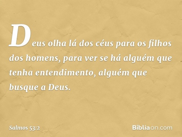 Deus olha lá dos céus
para os filhos dos homens,
para ver se há alguém
que tenha entendimento,
alguém que busque a Deus. -- Salmo 53:2