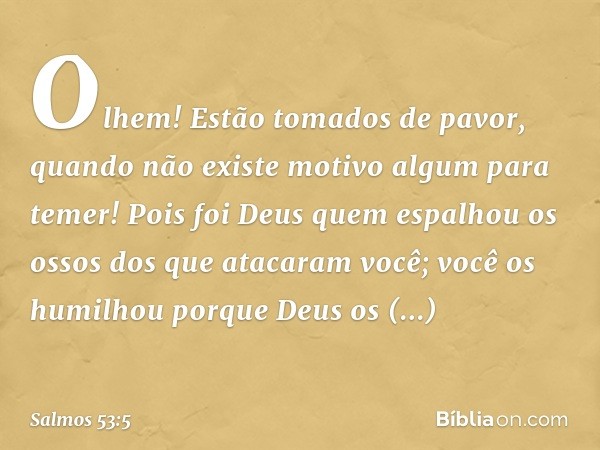 Olhem! Estão tomados de pavor,
quando não existe motivo algum para temer!
Pois foi Deus quem espalhou os ossos
dos que atacaram você;
você os humilhou porque De