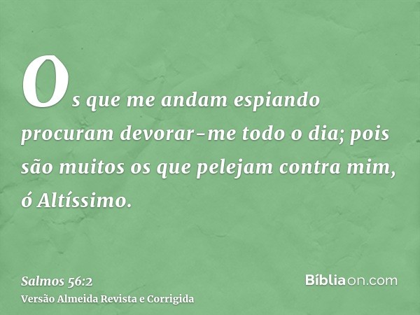 Os que me andam espiando procuram devorar-me todo o dia; pois são muitos os que pelejam contra mim, ó Altíssimo.