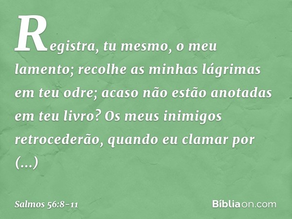 Registra, tu mesmo, o meu lamento;
recolhe as minhas lágrimas em teu odre;
acaso não estão anotadas em teu livro? Os meus inimigos retrocederão,
quando eu clama