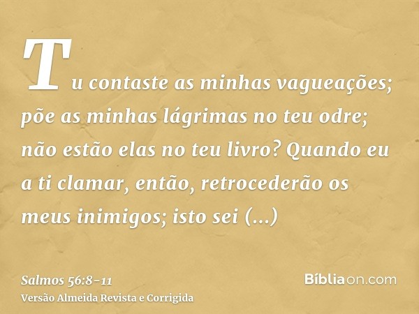 Tu contaste as minhas vagueações; põe as minhas lágrimas no teu odre; não estão elas no teu livro?Quando eu a ti clamar, então, retrocederão os meus inimigos; i