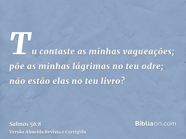 Tu contaste as minhas vagueações; põe as minhas lágrimas no teu odre; não estão elas no teu livro?